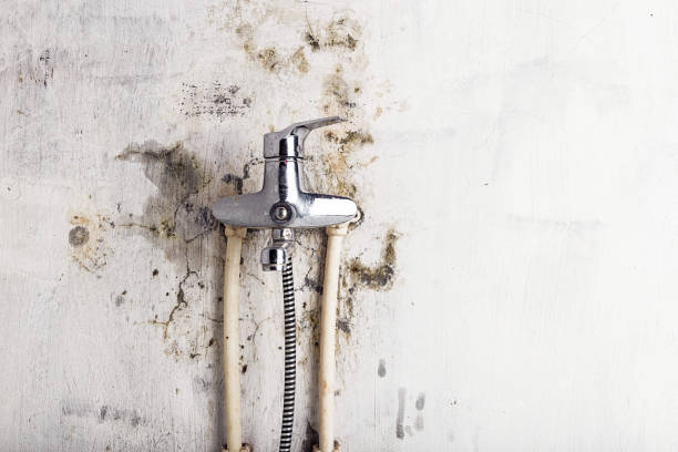 Best Post-Remediation Services in Danville, AR